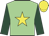 Light green, yellow star, dark green sleeves, yellow cap
