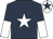Dark blue, white star, halved sleeves, white cap, dark blue star