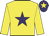 Yellow, purple star, yellow sleeves, purple cap, yellow star