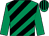 Emerald green, black diagonal stripes, emerald green sleeves, striped cap