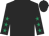 Black, emerald green stars on sleeves