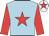 Light blue, red star & sleeves, white cap, red star