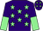 Purple, light green stars, halved sleeves and stars on cap