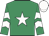 Emerald green, white star, white chevrons on sleeves, white cap