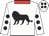 White, black lion, red collar, white sleeves, black spots, white cap with black spots