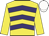 Yellow, purple chevrons, yellow sleeves, white cap