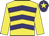 Yellow, purple chevrons, yellow sleeves, purple cap, yellow star
