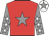 Red, grey star, grey sleeves, white stars, white cap, grey star