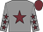 Grey body, garnet star, grey arms, garnet stars, garnet cap