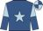 Royal blue, light blue star, light blue and royal blue halved sleeves, quartered cap