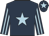 Dark blue, light blue star, striped sleeves and star on cap