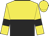 yellow and black halved horizontally, yellow sleeves, black armlets, yellow cap