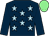 dark blue, light blue stars, dark blue arms, light green cap