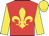Red, yellow fleur de lys, sleeves and cap