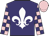 Purple, white fleur-de-lys, pink and purple checked sleeves, pink cap