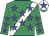 Emerald, white sash, blue stars, white cap, blue star, emerald peak