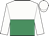 white and emerald green halved horizontally, white sleeves, white cap