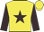 Yellow, brown star and sleeves