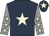 Dark blue, beige star, grey sleeves, beige stars, dark blue cap, beige star