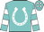 Turquoise, white horseshoe, turquoise and white hooped sleeves, turquoise cap, white spots