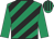 Emerald green, black diagonal stripes, emerald green sleeves, striped cap
