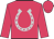 Cerise, silver horseshoe, cerise sleeves and cap