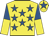 Yellow, royal blue stars, halved sleeves, royal blue star on cap