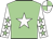 Light green, white star, white sleeves, light green stars, quartered cap