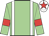 Light green, white braces, light green sleeves, red armlets, white cap, red star