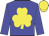 Blue, yellow shamrock and cap