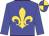 Blue, gold fleur-de-lys, blue sleeves, quartered cap
