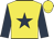 Yellow, dark blue star and sleeves