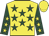 Yellow, dark green stars, dark green sleeves, yellow stars, yellow cap