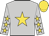 Silver, gold star, silver sleeves, gold stars, gold cap