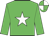 Lime green, white star, quartered cap