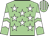 Light green, white stars, chevrons on sleeves, striped cap