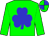 Green, blue shamrock, green and blue quartered cap