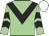 Light green, black chevron, chevrons on sleeves, white cap