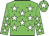 Green body, white stars, green arms, white stars, green cap, white star