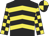 Black, yellow chevrons, checked sleeves, quartered cap