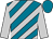 Kingfisher, silver diagonal stripes, silver sleeves, kingfisher cap