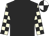 Black, beige and black check sleeves, black and white quartered cap