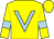 Yellow, Light blue V, light blue armlets, yellow cap