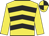 yellow, black chevrons, yellow sleeves, quartered cap
