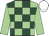 Light green and dark green check, light green sleeves, white cap