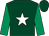 Dark green, white star, emerald green sleeves, dark green cap